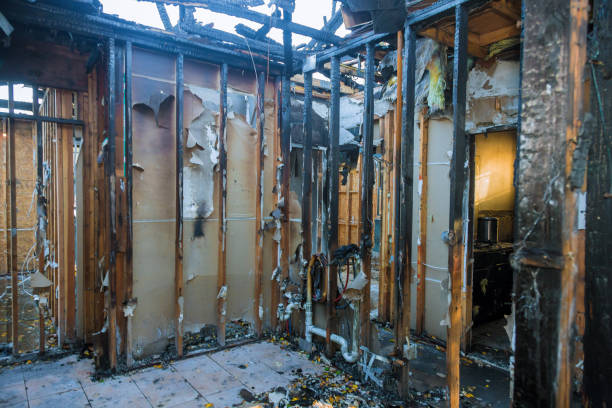 Professional Fire Damage Removal technician working in Washington, WA
