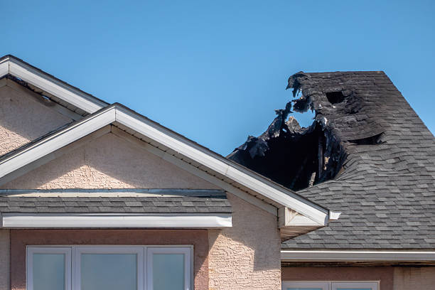 Top rated local Fire Damage Removal specialists in Washington, WA